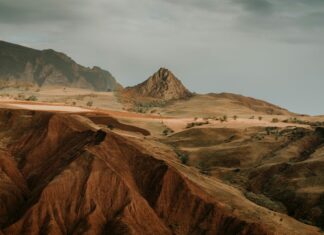 Şebinkarahisar Cevizi Nedir? Faydaları ve Lezzet Sırlarıyla Keşfedin