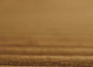 Kuze Kere Ne Demek? Merak Edilen Anlamı ve Kullanımı Açıklandı