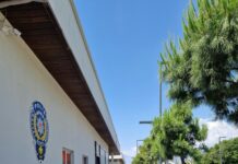 Gizli Polis Dedektif Kimdir? Şaşırtıcı Gerçekler ve İpuçları