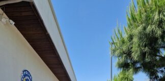 Gizli Polis Dedektif Kimdir? Şaşırtıcı Gerçekler ve İpuçları