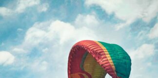 Dağlıç Nedir? Keşfedilmesi Gereken Eşsiz Bir Irkın Sırları