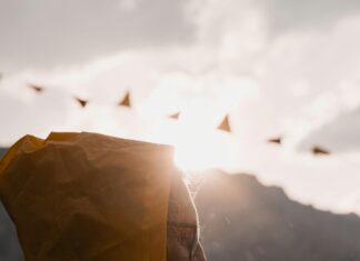 Dağ Akçaağacı Nedir? Şaşırtıcı Faydaları ve Doğal Gücü