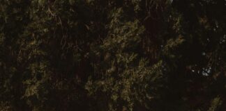 İstinad Duvarı Nedir? Güçlü ve Dayanıklı Yapıların Sırrı