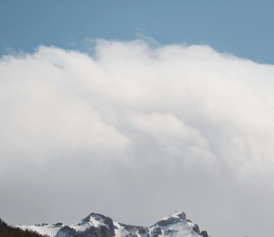 Dezorganize Nedir? Şaşırtıcı Gerçekler ve Etkileyici Çözümler