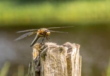 Seyrantepe Posta Kodu Nedir? Merak Edilen Tüm Detaylar Burada!