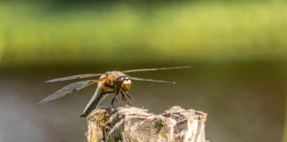 Seyrantepe Posta Kodu Nedir? Merak Edilen Tüm Detaylar Burada!