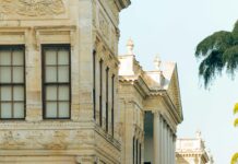 Hematoksilen Nedir? Bilmeniz Gereken Etkileyici Detaylar