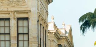 Hematoksilen Nedir? Bilmeniz Gereken Etkileyici Detaylar