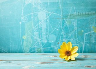 Sanatsal Terapi ve Ruh Sağlığı: İfade ve İyileşme Yolu Art Therapy and Mental Health: Pathways of Expression and Healing